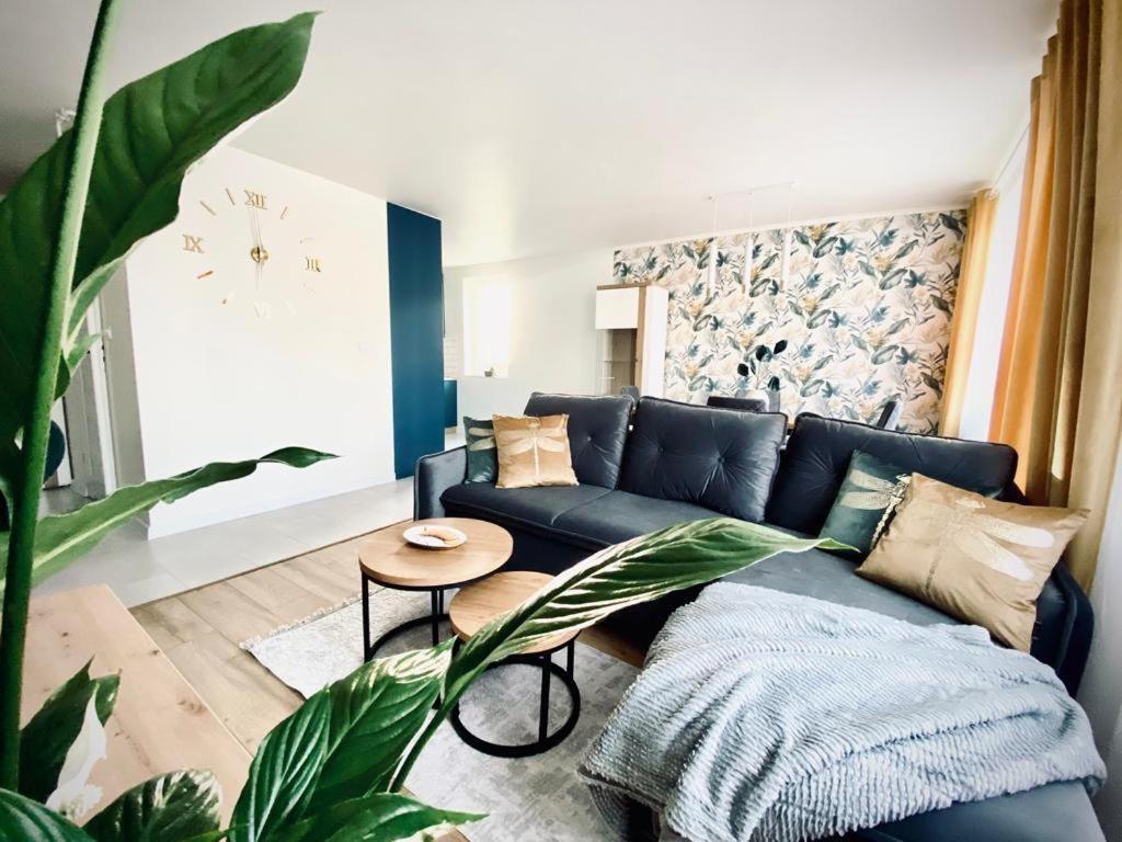 Apartament Krola Sandomierz Dış mekan fotoğraf