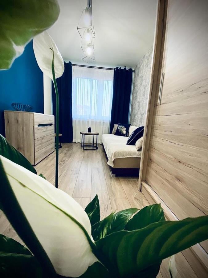 Apartament Krola Sandomierz Dış mekan fotoğraf